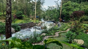 Taman Wisata Bougenville, Tempat Healing Asik Cocok Buat Liburan Tahun Baru