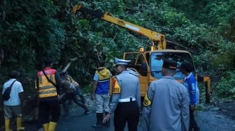 Longsor di Cimapag Mulai Dibersihkan, Pohon Tumbang Ganggu Akses Loji-Palangpang