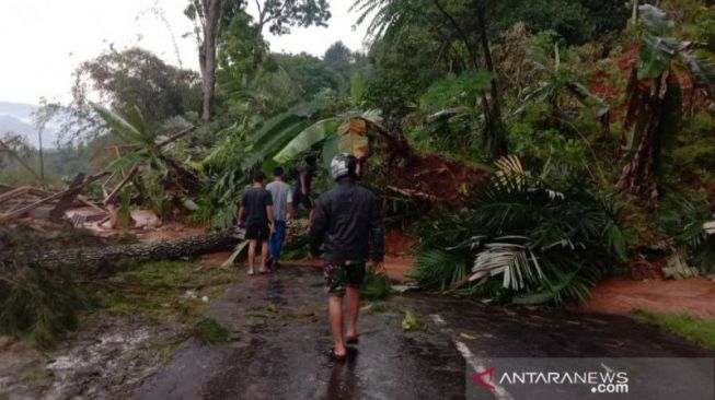 Longsor di kawasan Cianjur Selatan. [Antara]